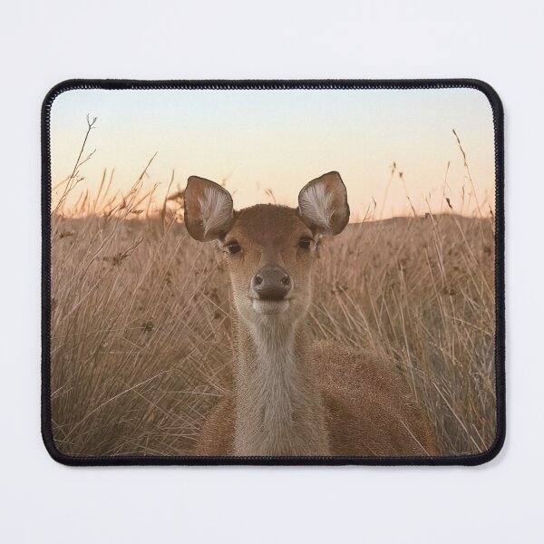 Item preview, Dreamy Sunset Deer Portrait. designed and sold by Kate4721.
