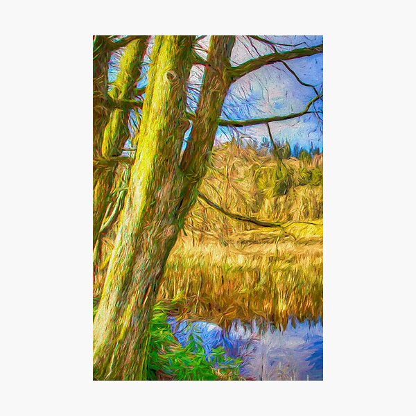 Item preview, Lake District England Nature Art  designed and sold by Londonimages.