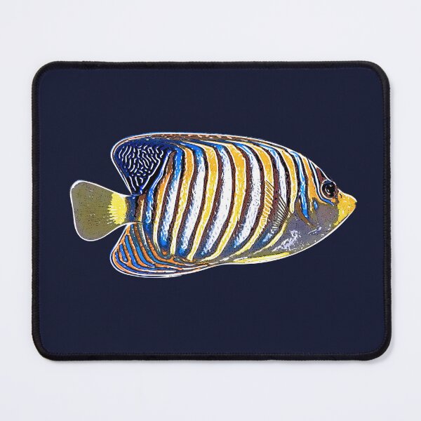 Item preview, Regal Angelfish White Alternate Design  designed and sold by designsasstultd.