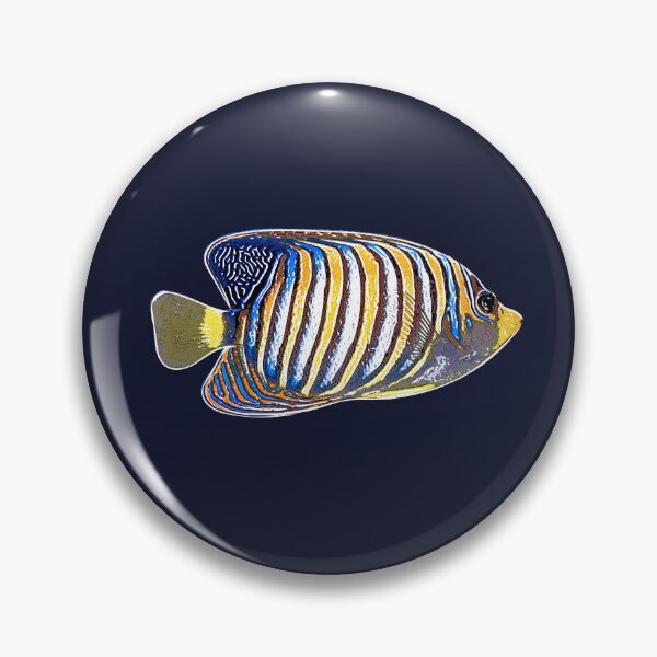 Item preview, Regal Angelfish White Alternate Design  designed and sold by designsasstultd.