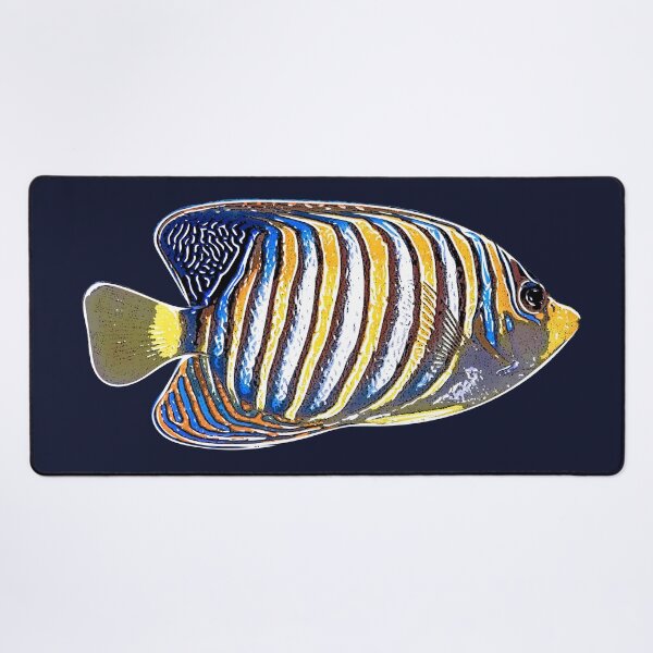 Item preview, Regal Angelfish White Alternate Design  designed and sold by designsasstultd.