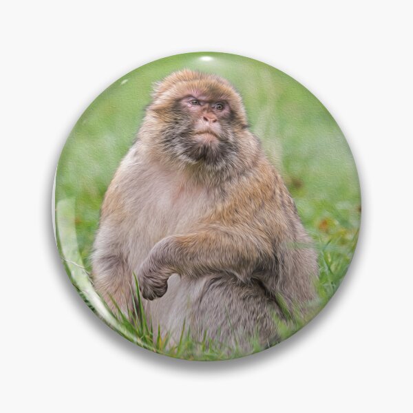 Item preview, Barbary Macaque: Painted Effect designed and sold by David Patterson.