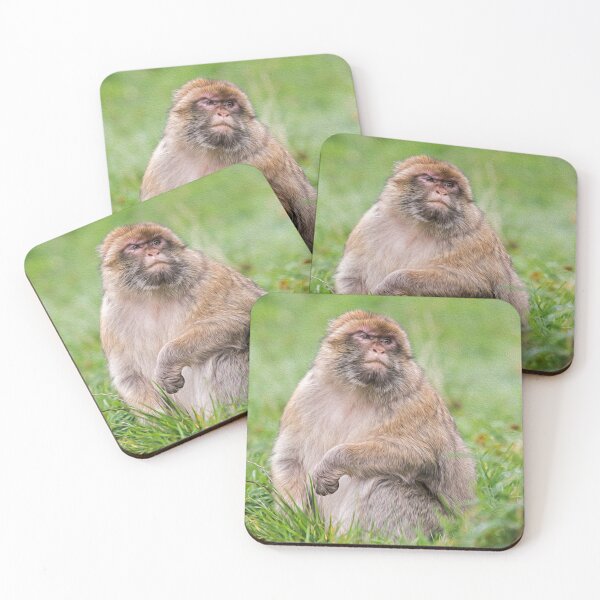 Item preview, Barbary Macaque: Painted Effect designed and sold by David Patterson.