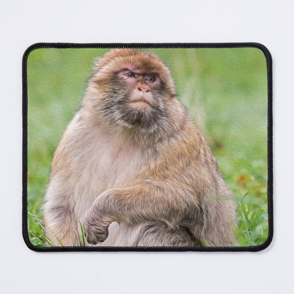 Item preview, Barbary Macaque: Painted Effect designed and sold by David Patterson.