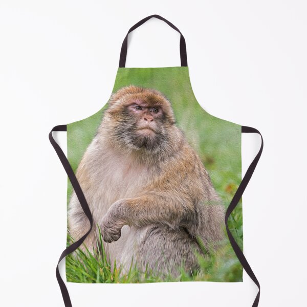 Item preview, Barbary Macaque: Painted Effect designed and sold by David Patterson.