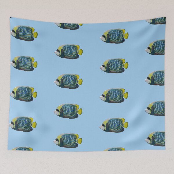 Item preview, Adult Emperor Angelfish Color Design  designed and sold by designsasstultd.