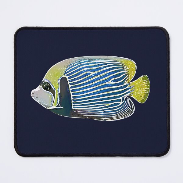 Item preview, Adult Emperor Angelfish White Alternate Design designed and sold by designsasstultd.