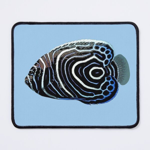 Item preview, Juvenile Emperor Angelfish Color Design designed and sold by designsasstultd.