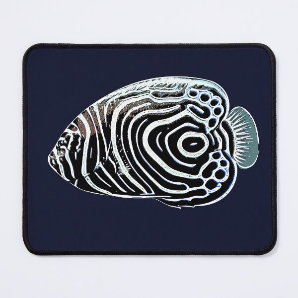 Item preview, Juvenile Emperor Angelfish White Alternate Design designed and sold by designsasstultd.