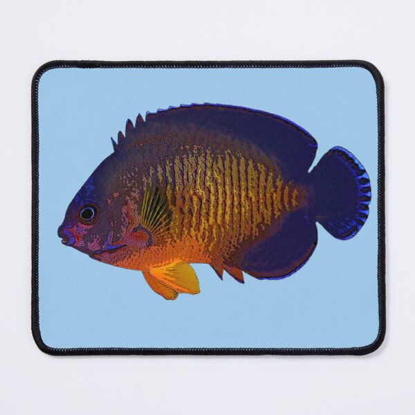 Item preview, Coral Beauty Angelfish Color Design  designed and sold by designsasstultd.