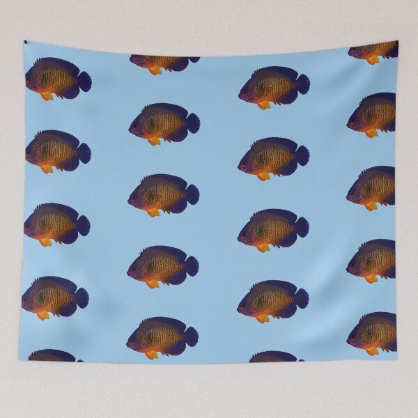 Item preview, Coral Beauty Angelfish Color Design  designed and sold by designsasstultd.