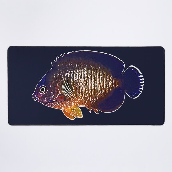 Item preview, Coral Beauty Angelfish White Alternate Design  designed and sold by designsasstultd.