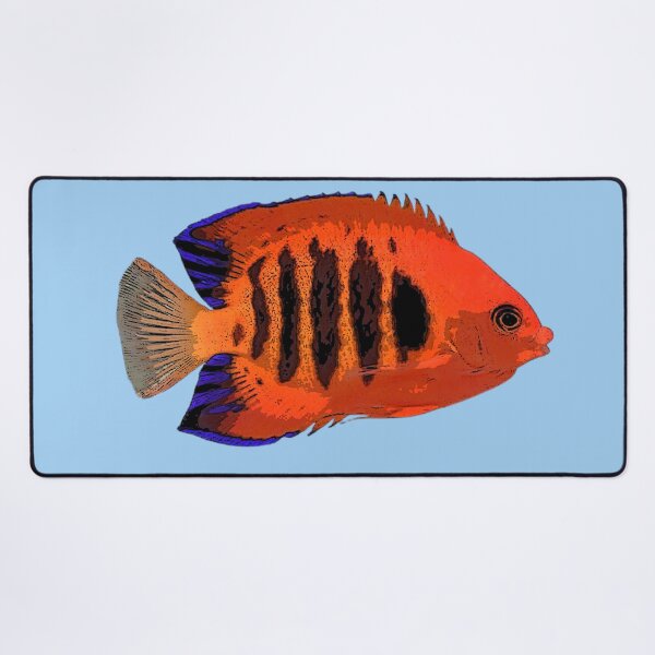 Item preview, Flame Angelfish Color Design  designed and sold by designsasstultd.