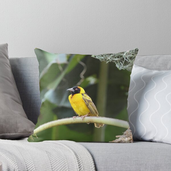 Item preview, Proud Weaver Bird designed and sold by Proud & Pretty Wildlife Photography.