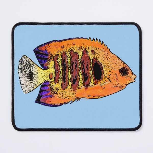 Item preview, Flame Angelfish Black Alternate Design designed and sold by designsasstultd.