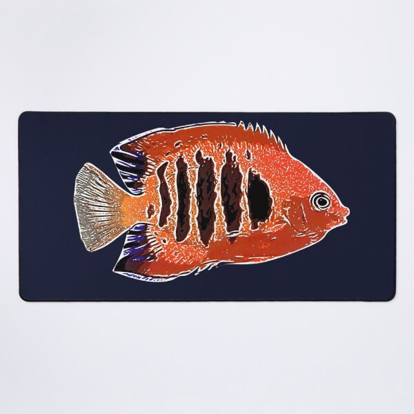 Item preview, Flame Angelfish White Alternate Design designed and sold by designsasstultd.
