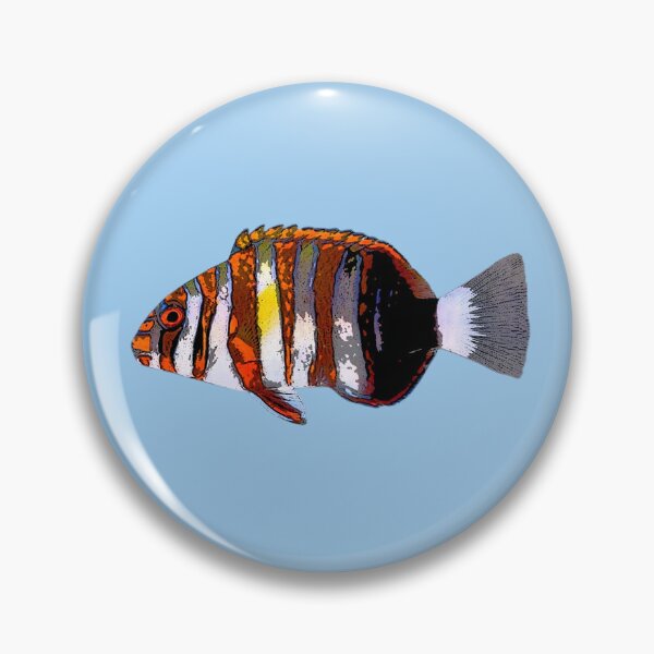 Item preview, Harlequin Tuskfish Color Design  designed and sold by designsasstultd.
