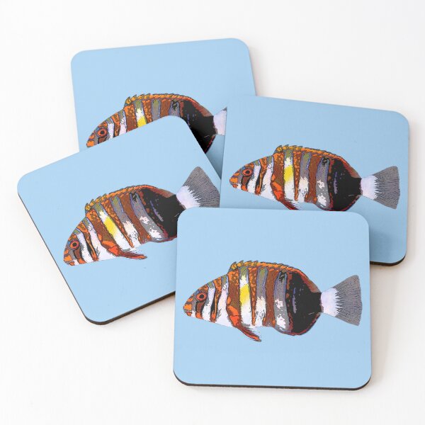 Item preview, Harlequin Tuskfish Color Design  designed and sold by designsasstultd.