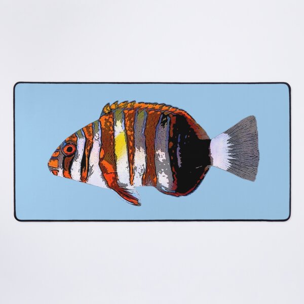 Item preview, Harlequin Tuskfish Color Design  designed and sold by designsasstultd.