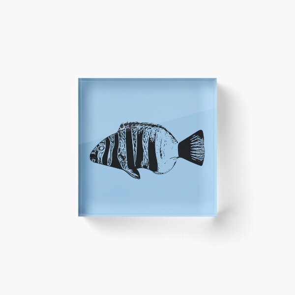 Item preview, Harlequin Tuskfish Black Design  designed and sold by designsasstultd.