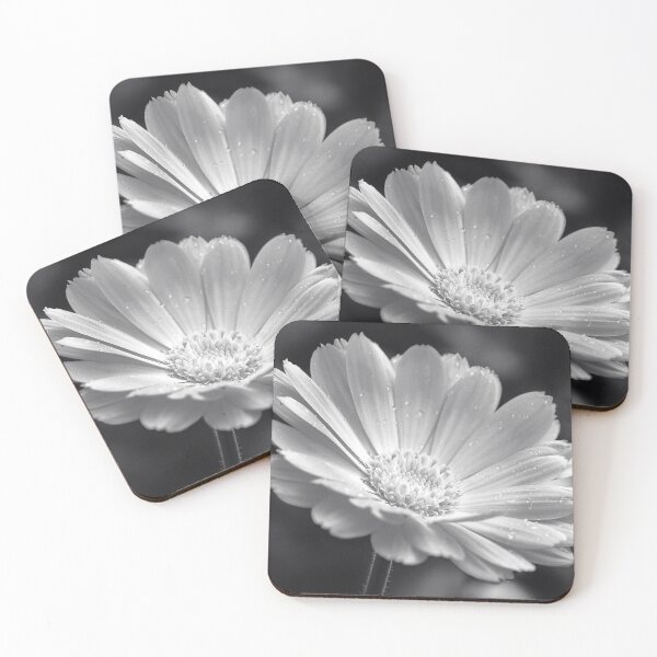Item preview, Calendula in Black and White designed and sold by ADCImages.