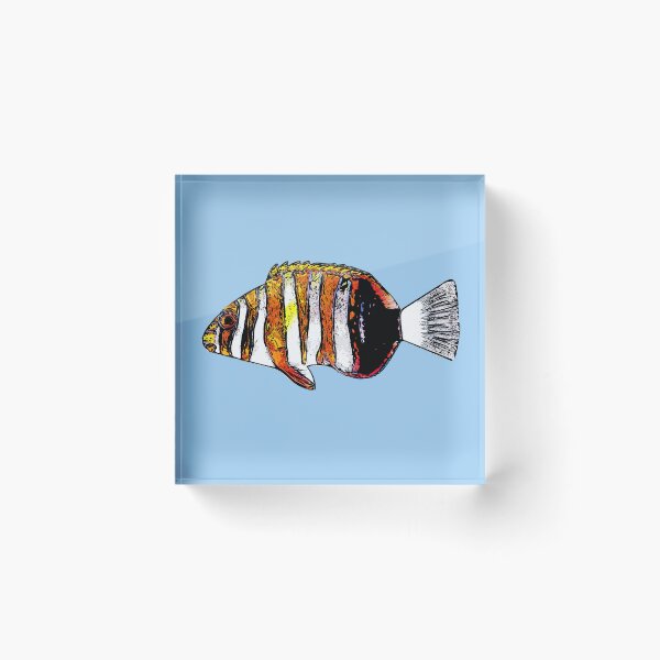 Artikelvorschau, Harlekin-Stoßzahnfisch, schwarz, alternatives Design entworfen und verkauft von designsasstultd.