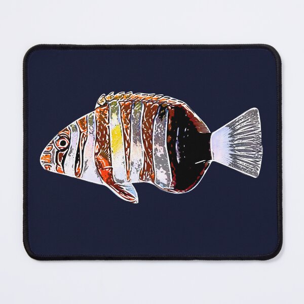 Item preview, Harlequin Tuskfish White Alternate Design  designed and sold by designsasstultd.