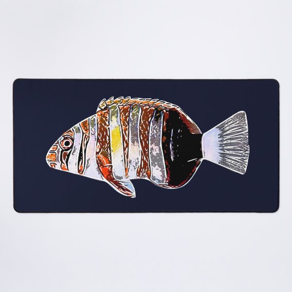 Item preview, Harlequin Tuskfish White Alternate Design designed and sold by designsasstultd.