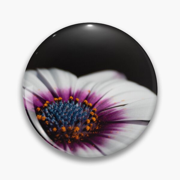 Item preview, A Glorious Cape Daisy Flower designed and sold by LostInTheBlooms.