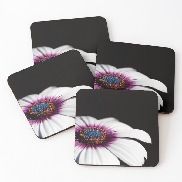 Item preview, A Glorious Cape Daisy Flower designed and sold by LostInTheBlooms.