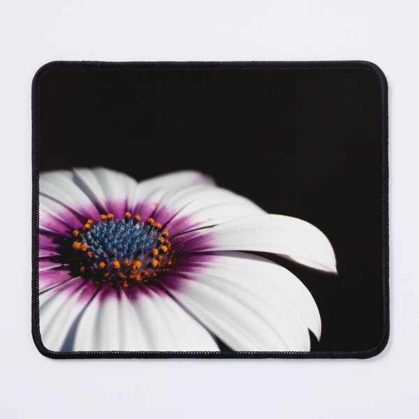 Item preview, A Glorious Cape Daisy Flower designed and sold by LostInTheBlooms.