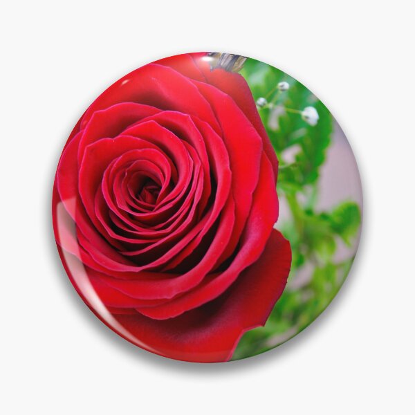 Item preview, rose of sant jordi designed and sold by manoloshoping.