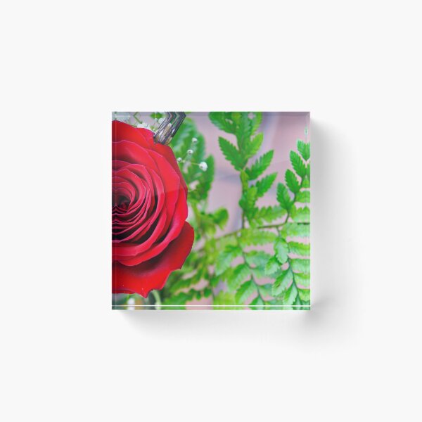 Item preview, rose of sant jordi designed and sold by manoloshoping.