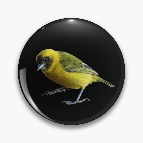 Item preview, Weaver bird designed and sold by Proud & Pretty Wildlife Photography.