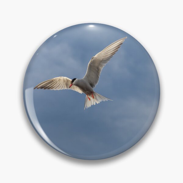 Item preview, Flying High: Graceful Arctic Tern in Flight designed and sold by David Patterson.