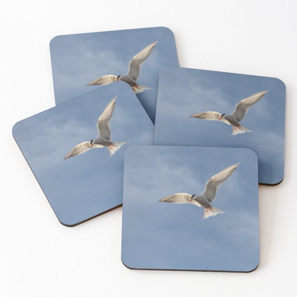 Item preview, Flying High: Graceful Arctic Tern in Flight designed and sold by David Patterson.
