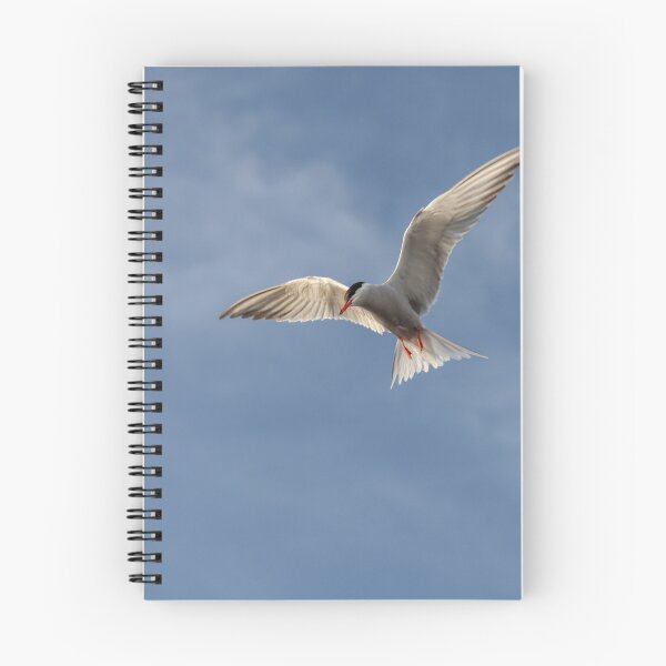 Item preview, Flying High: Graceful Arctic Tern in Flight designed and sold by David Patterson.