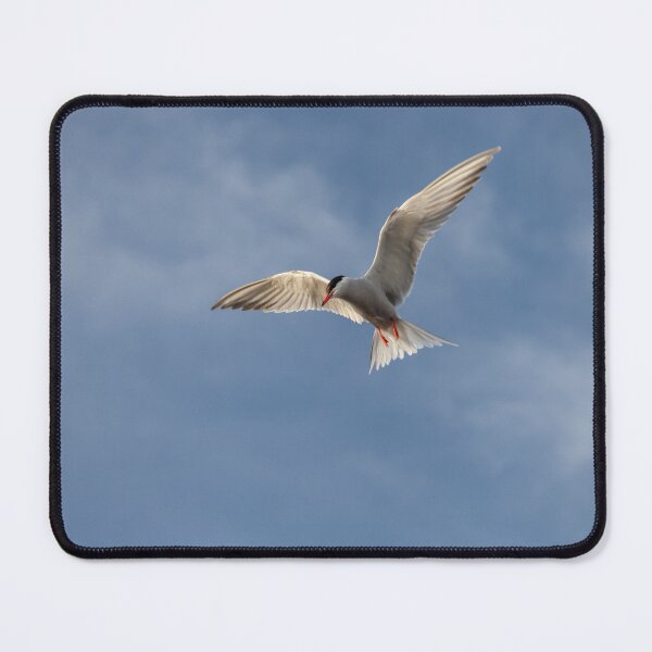 Item preview, Flying High: Graceful Arctic Tern in Flight designed and sold by David Patterson.