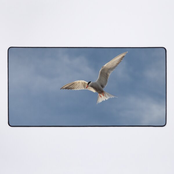 Item preview, Flying High: Graceful Arctic Tern in Flight designed and sold by David Patterson.