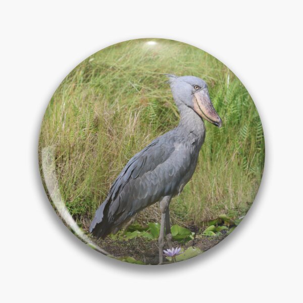 Item preview, Shoebill stork standing in swamp designed and sold by Proud & Pretty Wildlife Photography.