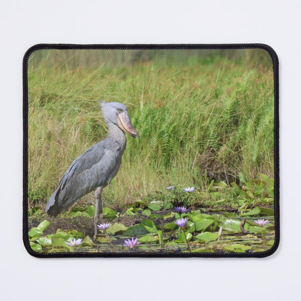 Item preview, Shoebill stork standing in swamp designed and sold by Proud & Pretty Wildlife Photography.