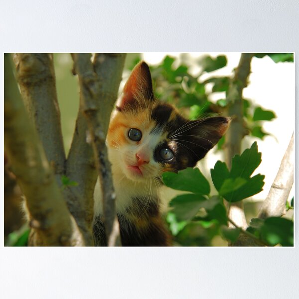 Item preview, "Whatcha Doing"? designed and sold by Karen Keaton.
