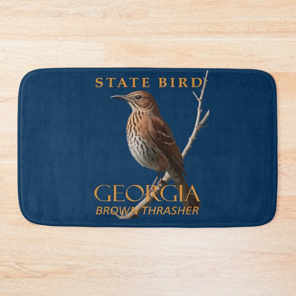 Aperçu de l'œuvre Oiseau du territoire de Géorgie Le Moqueur brun créée et vendue par taiche.