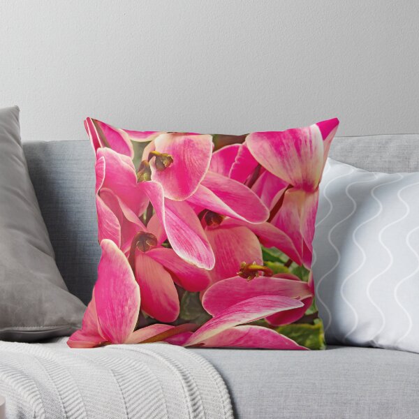 Item preview, Persian Pink Cyclamen designed and sold by manoloshoping.