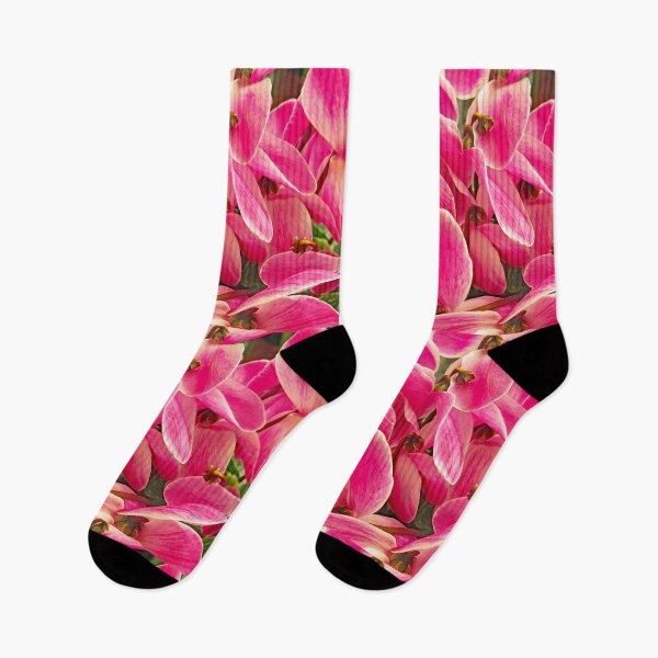 Item preview, Persian Pink Cyclamen designed and sold by manoloshoping.
