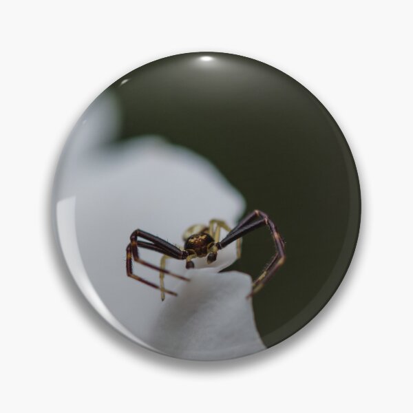 Item preview, Male Crab Spider Sitting on White Rose Petal designed and sold by LeighMilesArt.