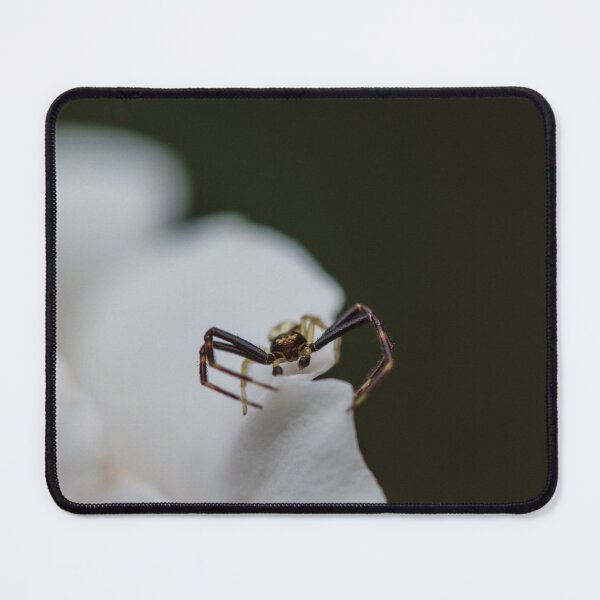Item preview, Male Crab Spider Sitting on White Rose Petal designed and sold by LeighMilesArt.