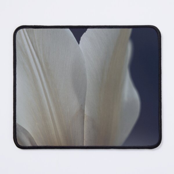Item preview, Dreamy White Feather Tulip - Macro Photography designed and sold by LeighMilesArt.