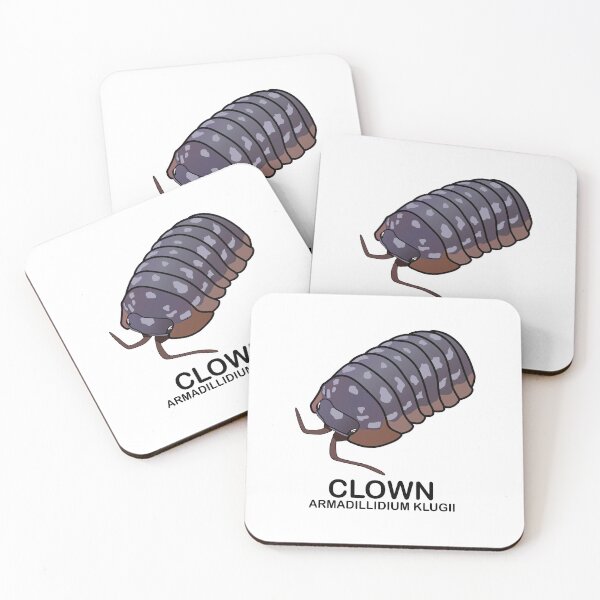 Item preview, Armadillidium Klugii 'Clown' designed and sold by ArmadilloPods.