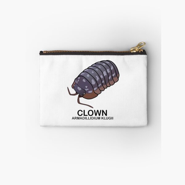 Item preview, Armadillidium Klugii 'Clown' designed and sold by ArmadilloPods.